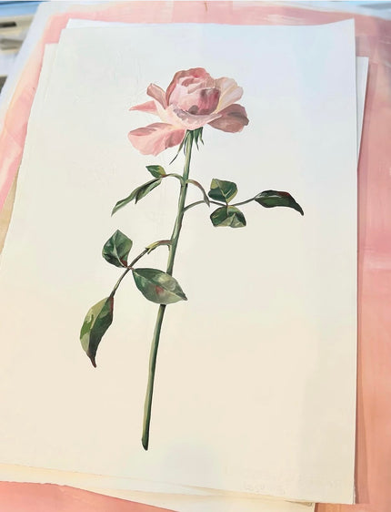 The Ballet Slipper Rose