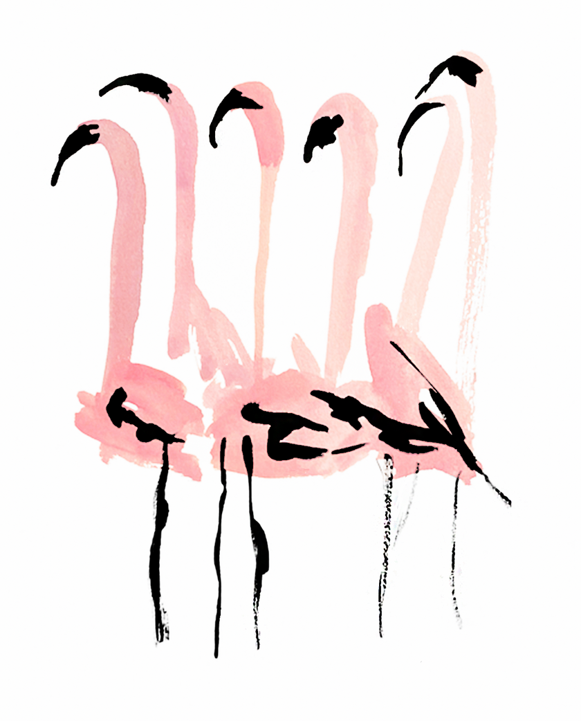 The Flock of Flamingos