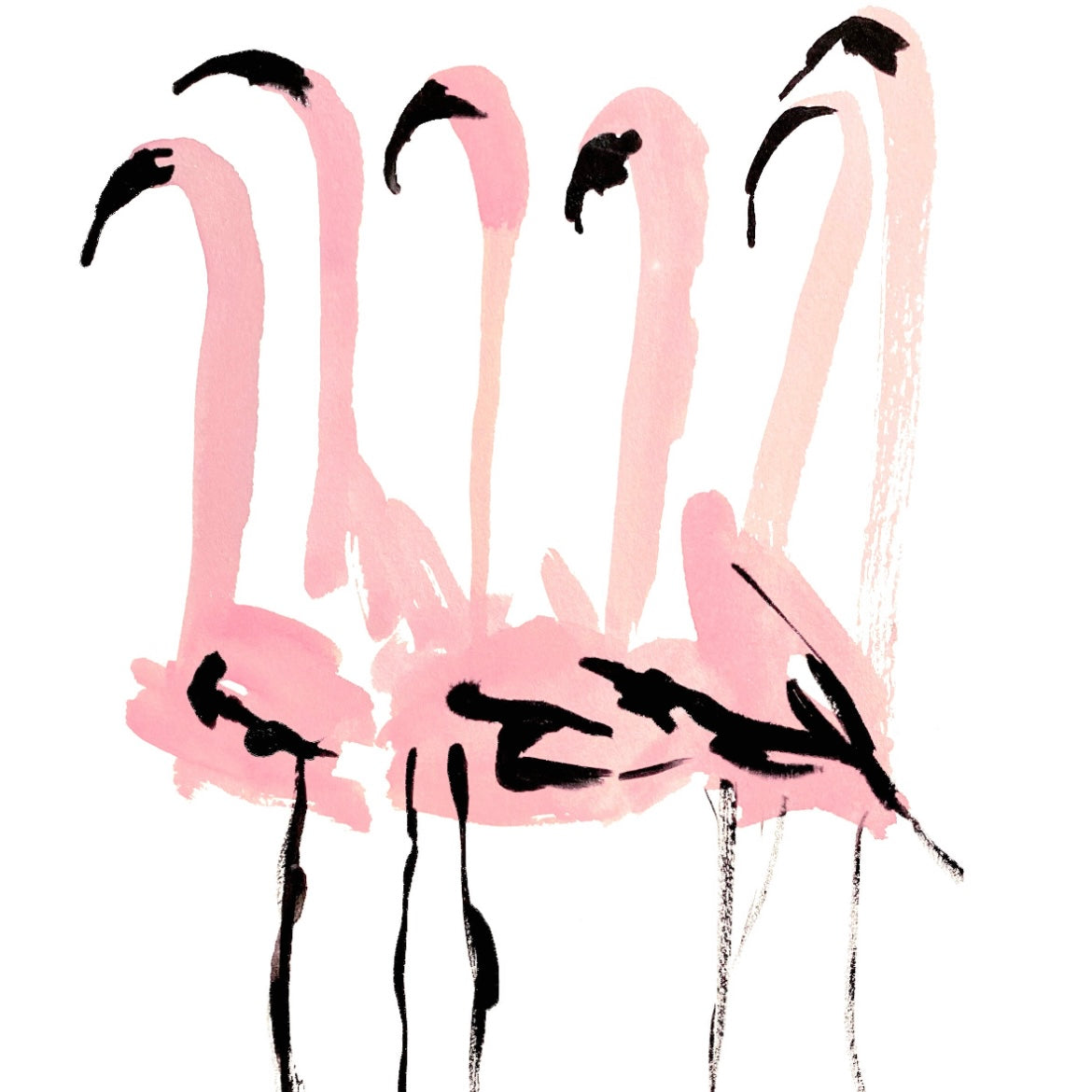 Flamingos