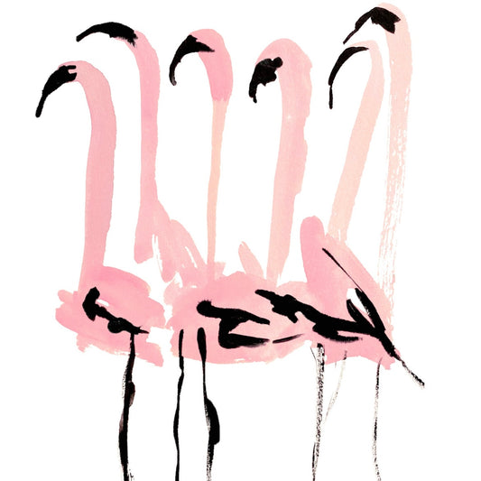 Flamingos