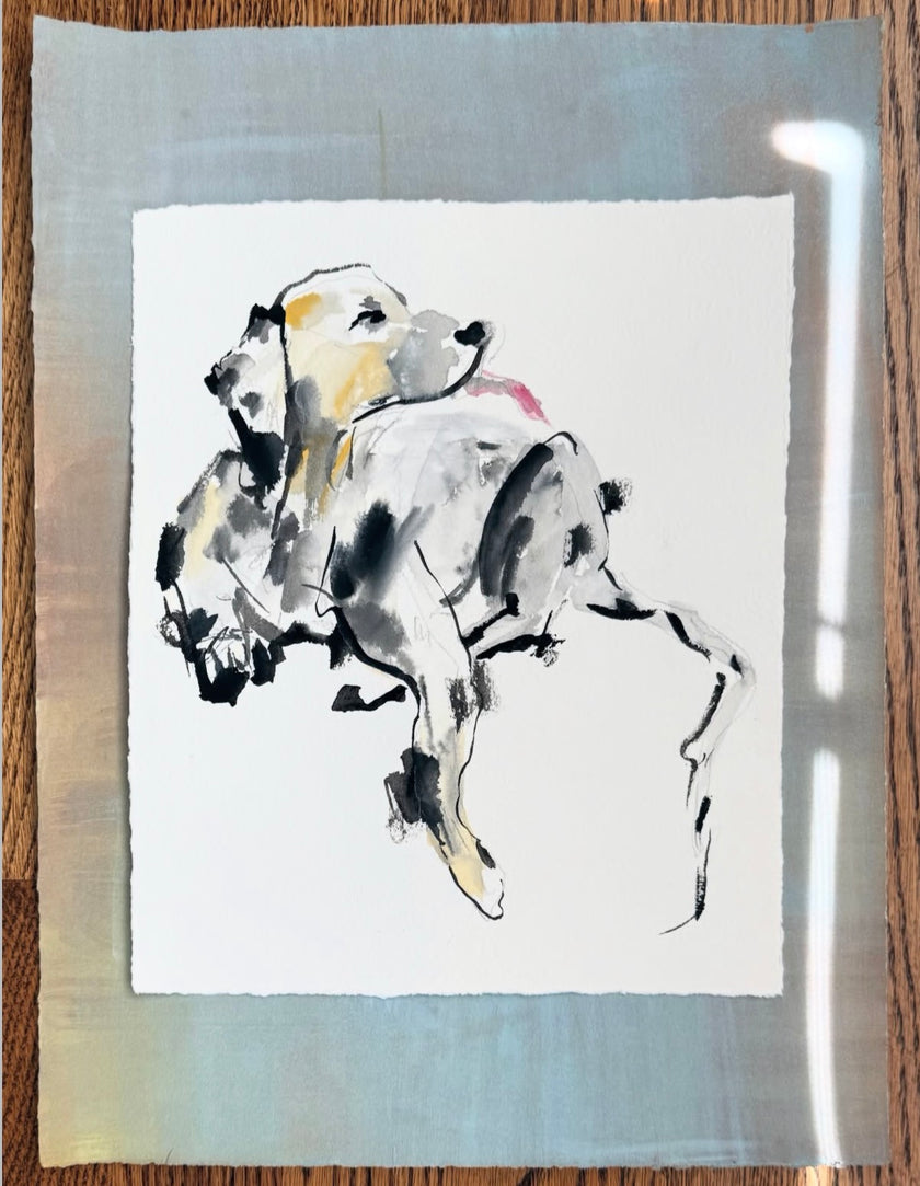 Dalmatians No. 01 from the Seacliff Series