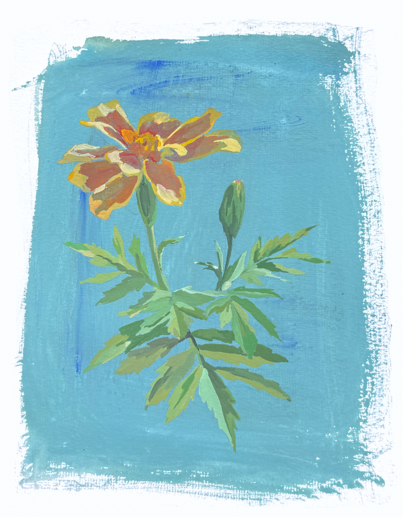 The Marigold Floral