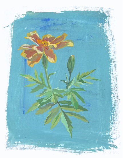 The Marigold Floral