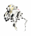 The Dalmation Print